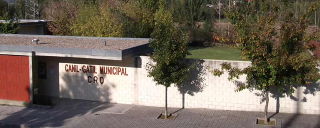 Município de Guimarães Comunicação